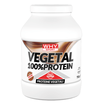 VEGETAL 100% PROTEIN 750 g