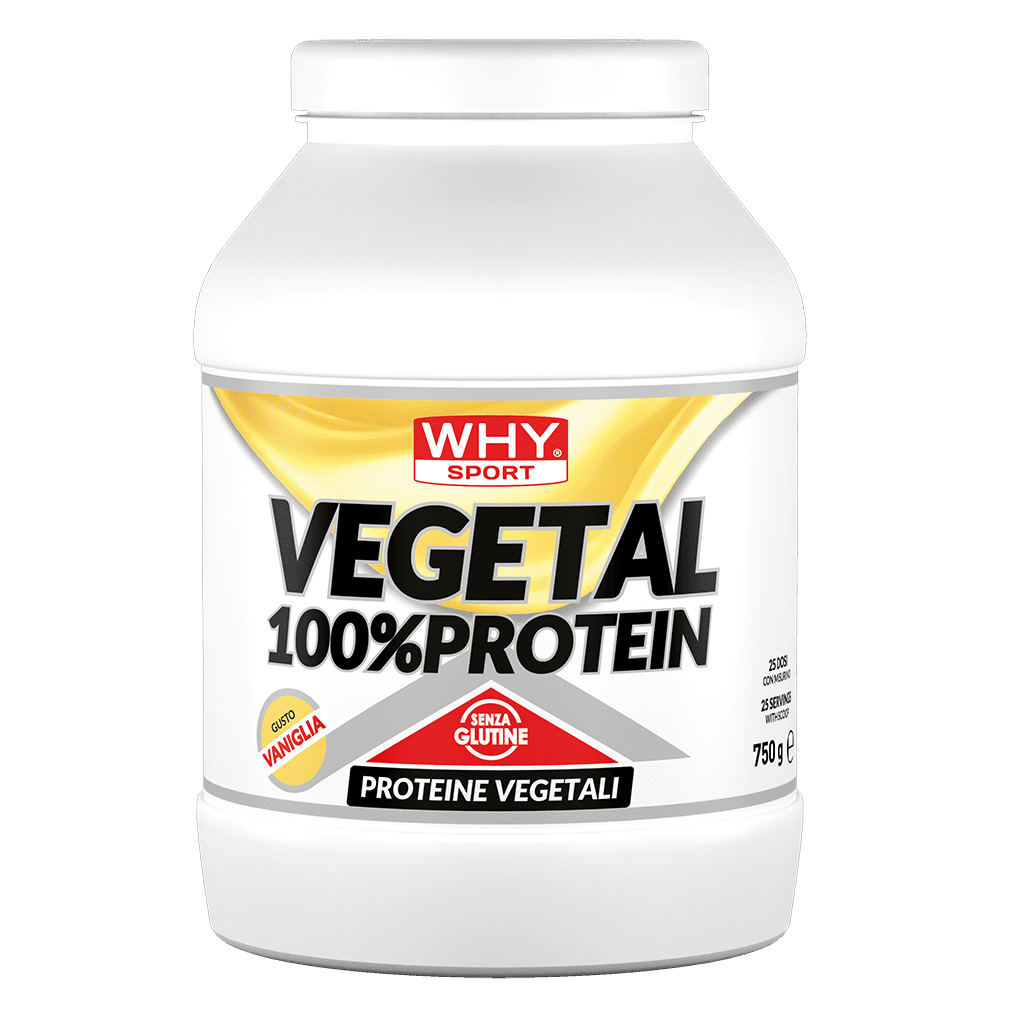 VEGETAL 100% PROTEIN 750 g