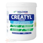 CREATYL ® POWDER ( creatina pura in polvere ) 300g